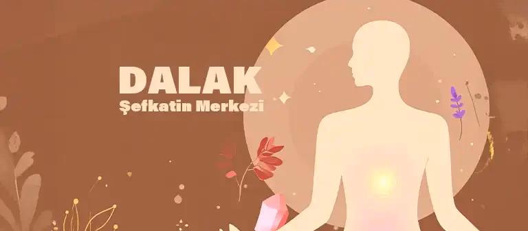 Dalak Meridyeni ve Fasyal Duygu Deposu: Bastırılmış Hüzünlerin Biyoenerjetik ve Kristal Rezonansı